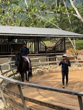 Школа Верховой Езды «Moracea Horse Academy»