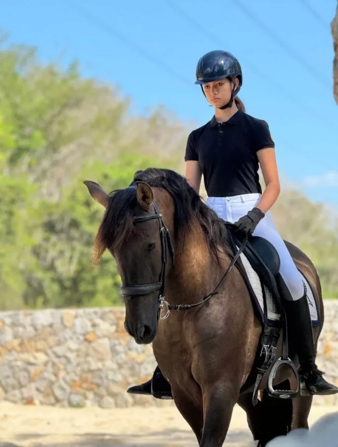 Школа Верховой Езды Moracea Horse Academy в Пхукете: Животные, Тренировка, Спортзал, Тренер,