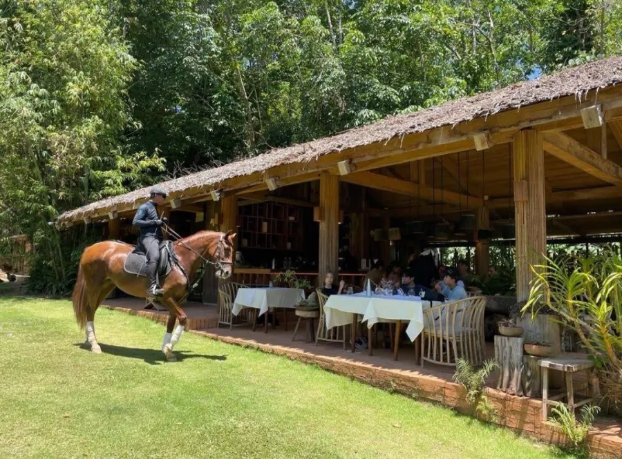 Школа Верховой Езды Moracea Horse Academy в Пхукете: Животные, Тренировка, Спортзал, Тренер,