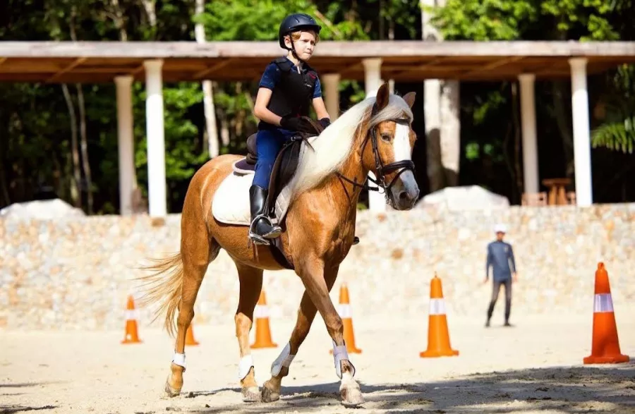Школа Верховой Езды Moracea Horse Academy в Пхукете: Животные, Тренировка, Спортзал, Тренер,