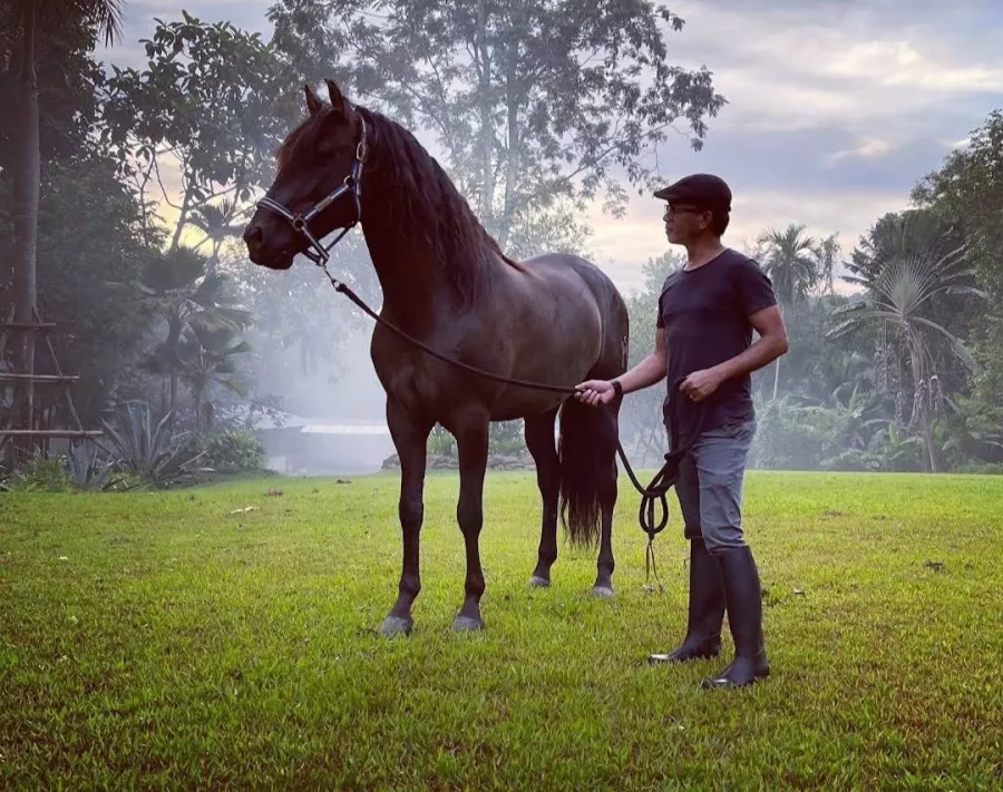 Школа Верховой Езды Moracea Horse Academy в Пхукете: Животные, Тренировка, Спортзал, Тренер,
