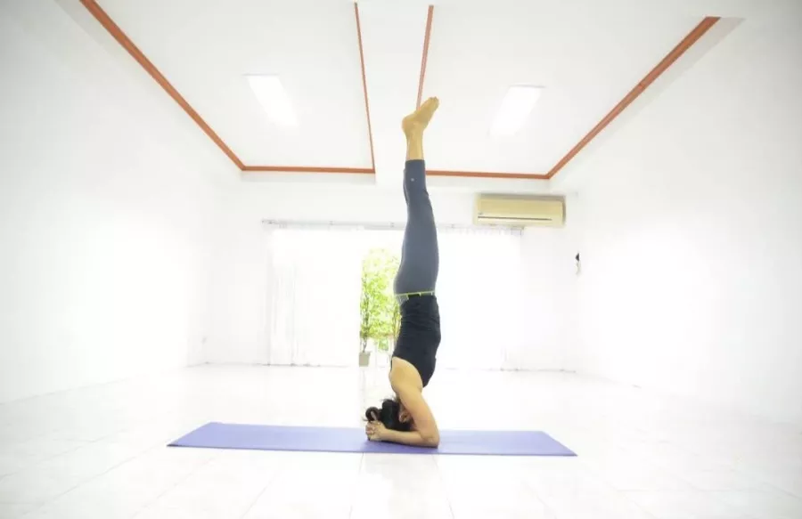 Студия Йоги Healthy Ning в Пхукете: Yoga, Meditation, Stretching, Studio, Студия, Медитация, Йога, Растяжка,