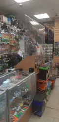Миниатюра 11