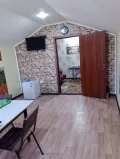 Миниатюра 6
