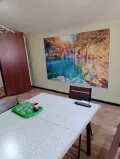 Миниатюра 7