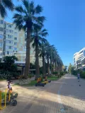 Миниатюра 21