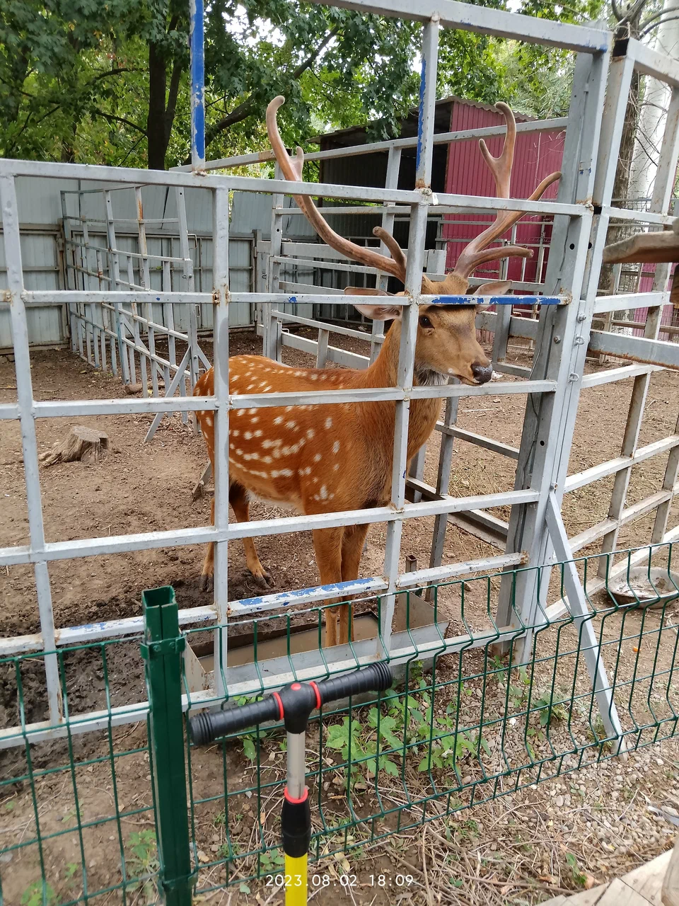 Зоопарк "Зоодворик"