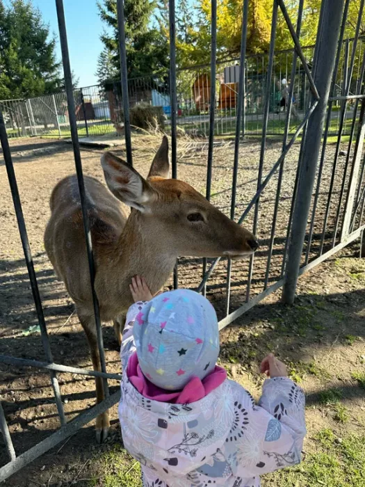 Зоопарк Центр живой природы  в  Абакане