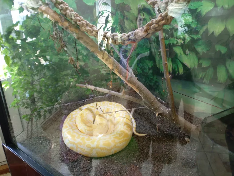 Зоопарк Центр живой природы в Абакане: Животные, Зоопарк, Для всей семьи, Природа,