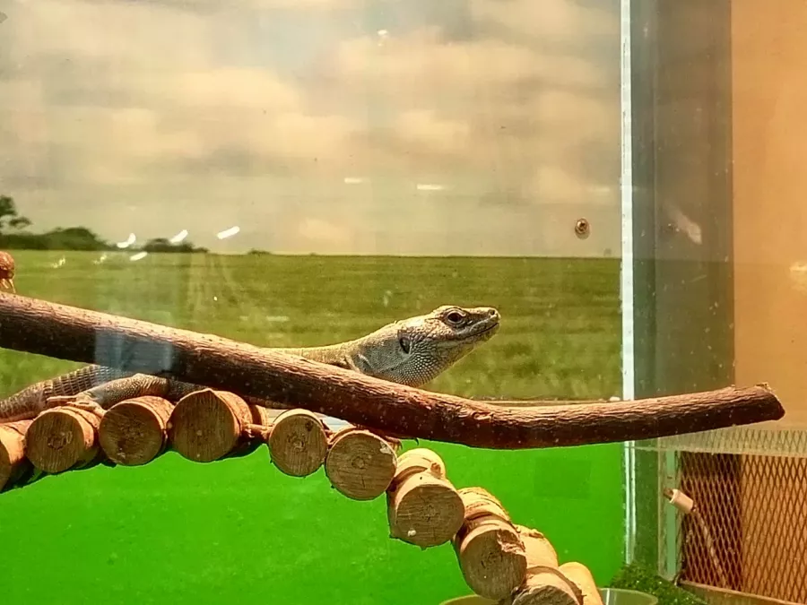 Зоопарк Центр живой природы в Абакане: Животные, Зоопарк, Для всей семьи, Природа,