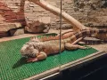Миниатюра 9