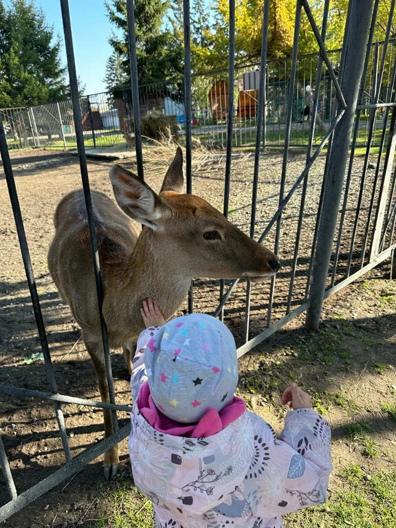 Зоопарк Центр живой природы в Абакане: Животные, Зоопарк, Для всей семьи, Природа,