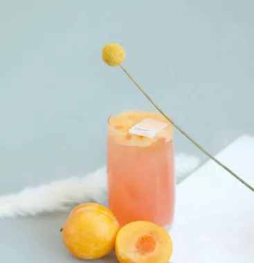 Кафе Сойка напела