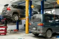 Миниатюра 15
