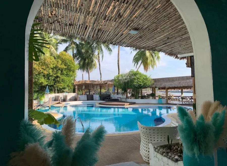 Бассейн Soho Pool Club в Пхукете: Отдых, Можно с животными, Пиво, Вино, Бар, Бассейн,