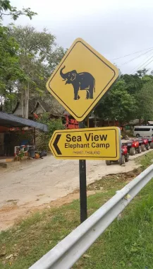 Зиплайн «Skyline Adventure Phuket»