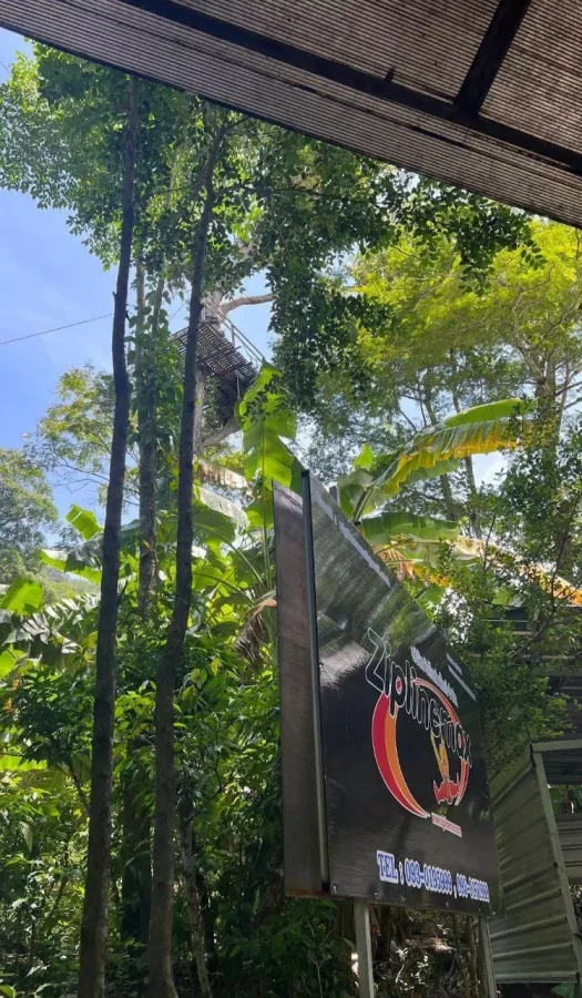 Зиплайн Ziplinemax в Пхукете: Zipline, Зиплайн, Слоны, Квадроциклы, ATV, Elephants,