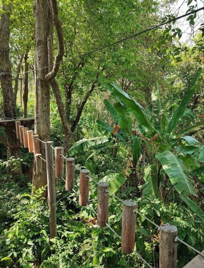 Верёвочный Парк Tarzan Adventure Phuket в Пхукете: Кафе, Зиплайн, Приключения, Adventures, Cafe, Zipline, Для детей, For Kids,