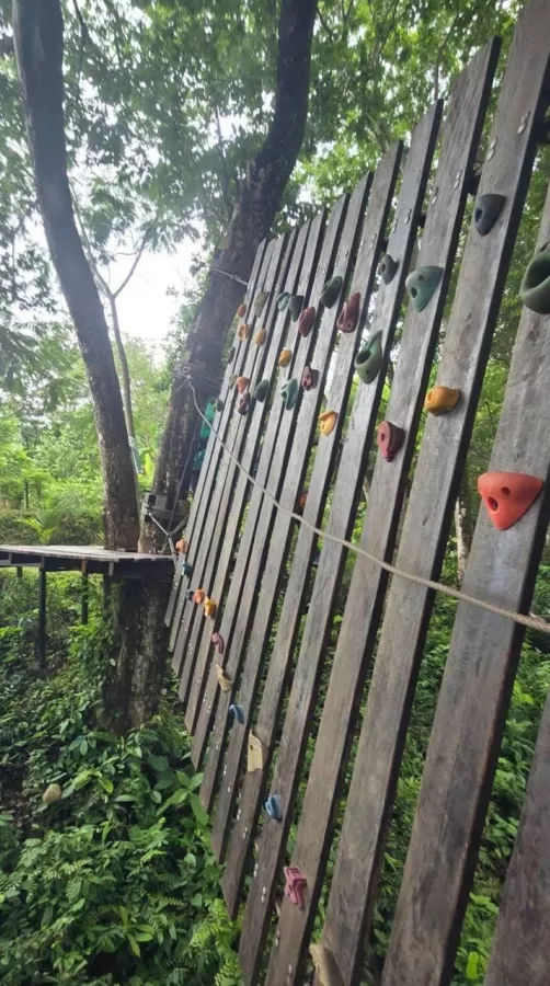 Верёвочный Парк Tarzan Adventure Phuket в Пхукете: Кафе, Зиплайн, Приключения, Adventures, Cafe, Zipline, Для детей, For Kids,