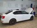 Миниатюра 13