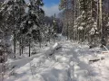 Миниатюра 10