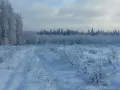 Миниатюра 12