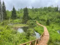 Миниатюра 18
