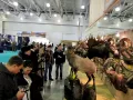 Миниатюра 9