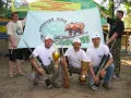 Миниатюра 19