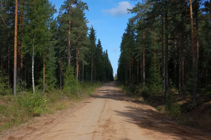 ООО Ленохота в Санкт-Петербурге: Организация Охоты, Охота в Питере, Охота на Кабана, Охота на Лося, Охота на Зайца, Охота на Утку, Охота на Волка, Охота с Егерем, Охота в ЛенОбласти,