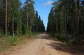 Миниатюра 13