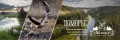 Миниатюра 11