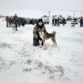 Миниатюра 17