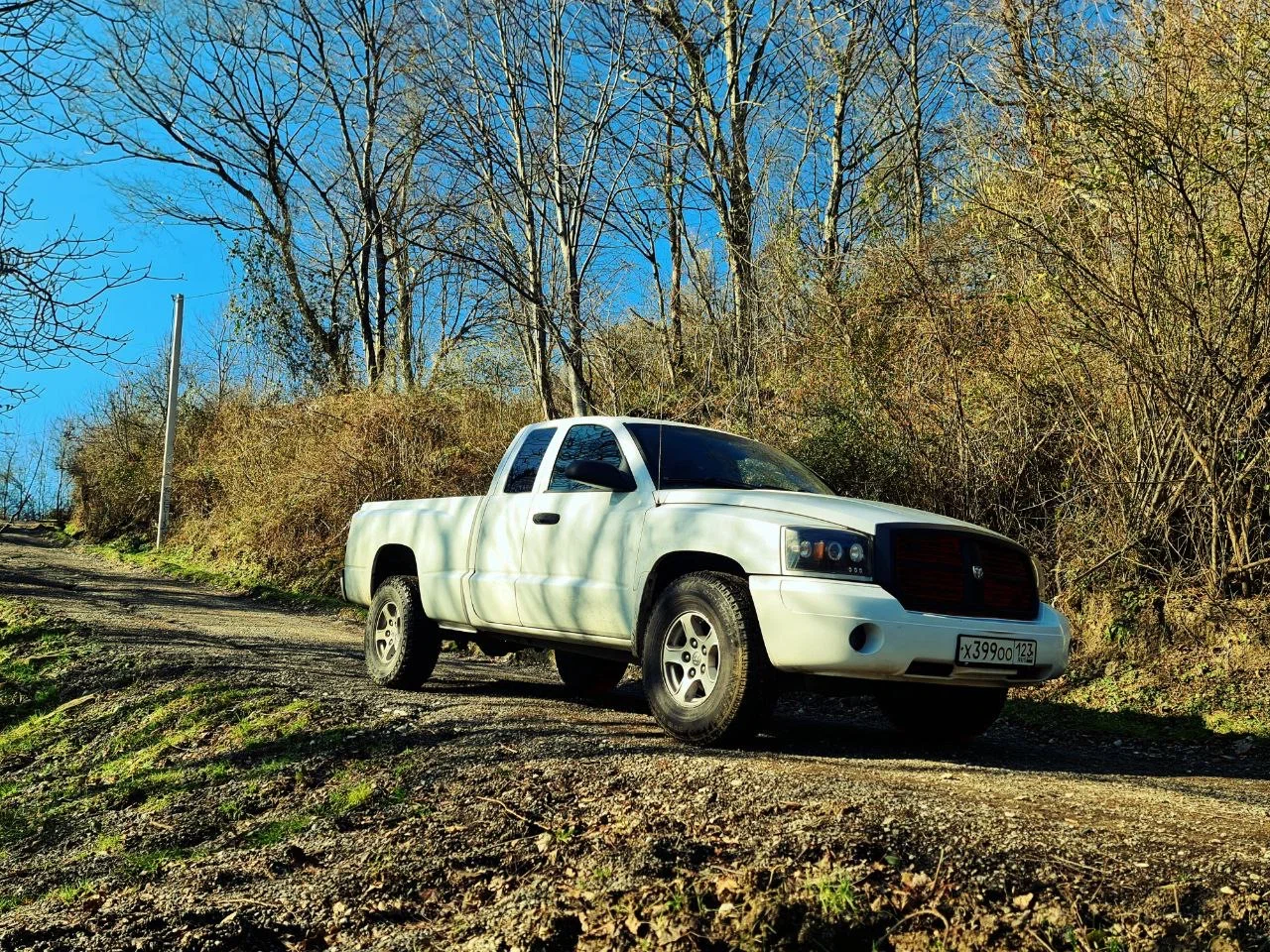 Большое фото 1
