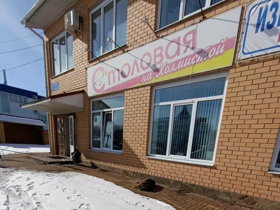 Столовая на Холмистой в Воронеже: Еда навынос, Поесть, Буфет, Вкусно, Быстрое питание, Напитки, Недорого, Парковка, Столовая в Воронеже, Столовая,
