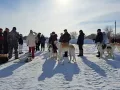 Миниатюра 6