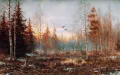 Миниатюра 8