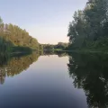 Миниатюра 9