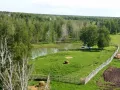 Миниатюра 14