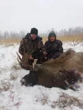 Миниатюра 18