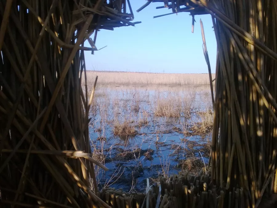 ВЕЛЕС - Клуб Охотников в Волгограде: Охота,