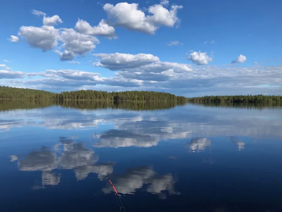ВЕЛЕС - Клуб Охотников в Волгограде: Охота,