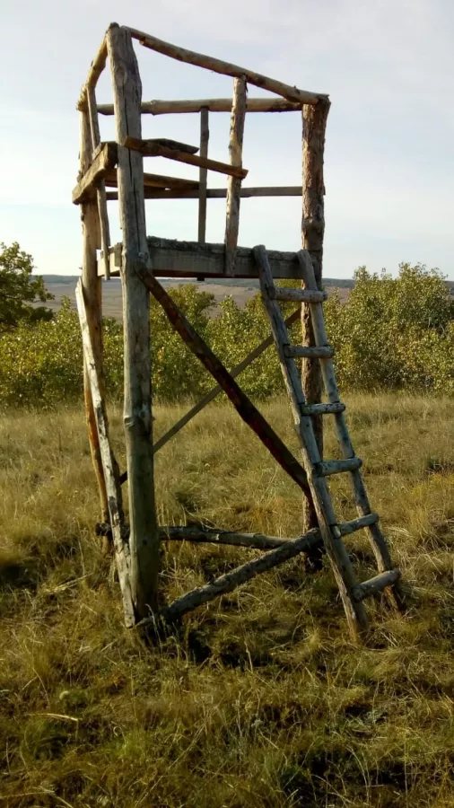 ВЕЛЕС - Клуб Охотников в Волгограде: Охота,