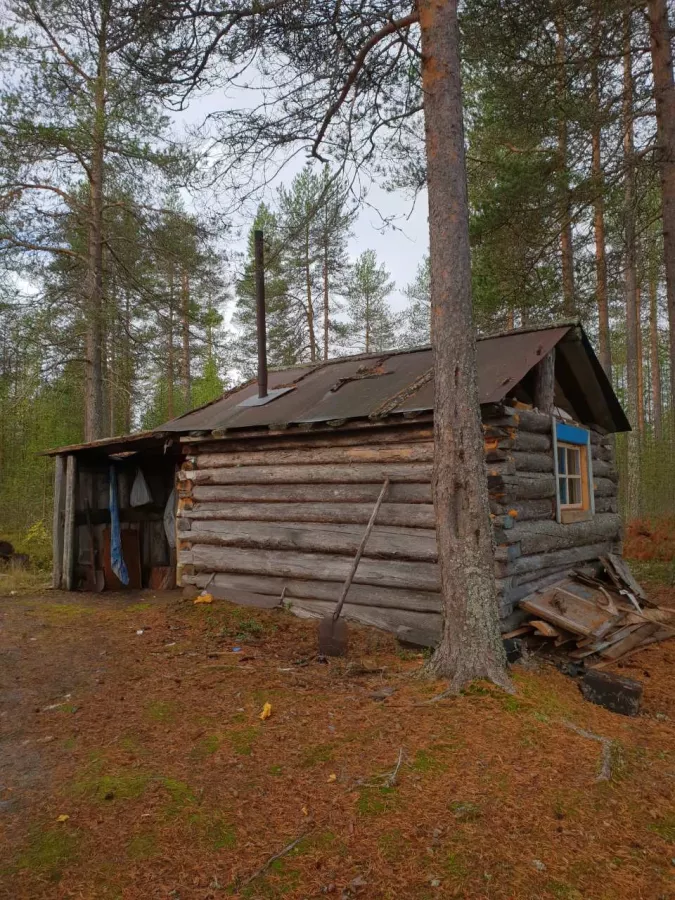 ВЕЛЕС - Клуб Охотников в Волгограде: Охота,