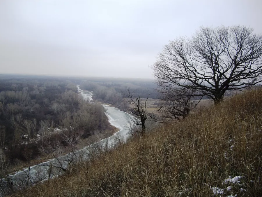 ВЕЛЕС - Клуб Охотников в Волгограде: Охота,