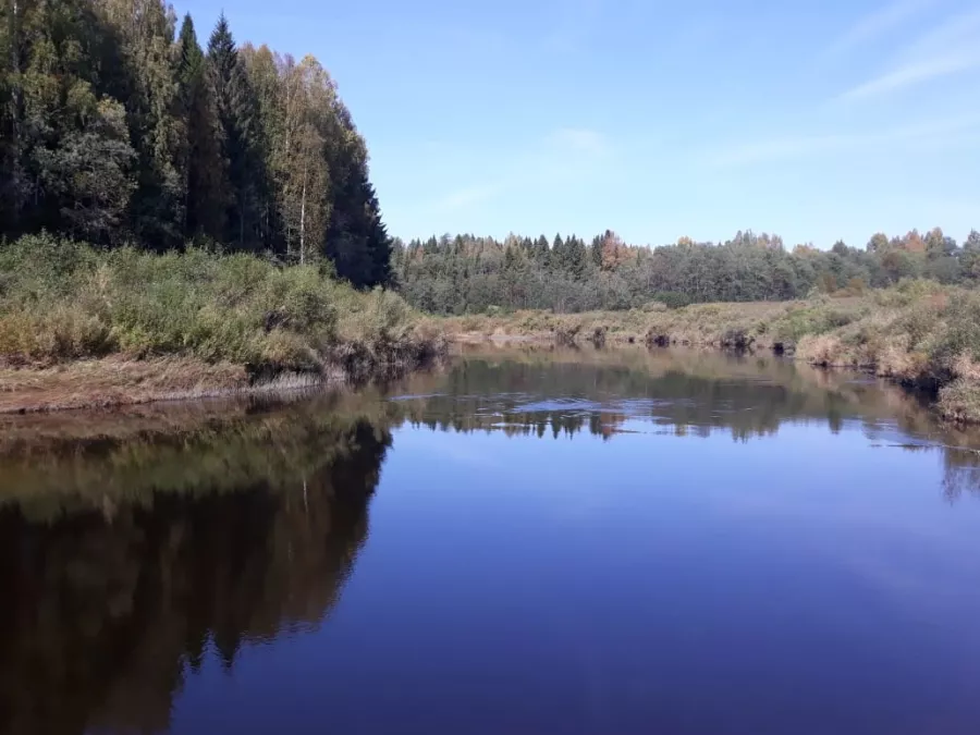 ВЕЛЕС - Клуб Охотников в Волгограде: Охота,