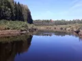 Миниатюра 8