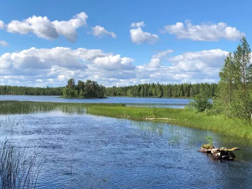 ВЕЛЕС - Клуб Охотников