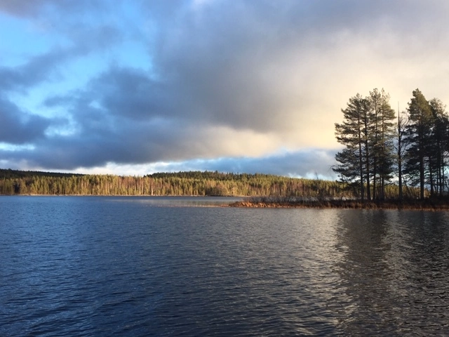 ВЕЛЕС - Клуб Охотников в Волгограде: Охота,