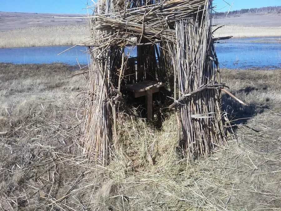 ВЕЛЕС - Клуб Охотников в Волгограде: Охота,